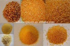 China supplier corn tortilla flour machine for sale
