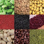 Industrial automatic lentil and pulse processing machine in India